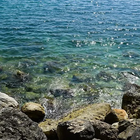 Wind Rose Study 아파트 *