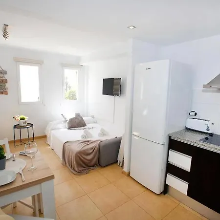 Wind Rose Study Appartement