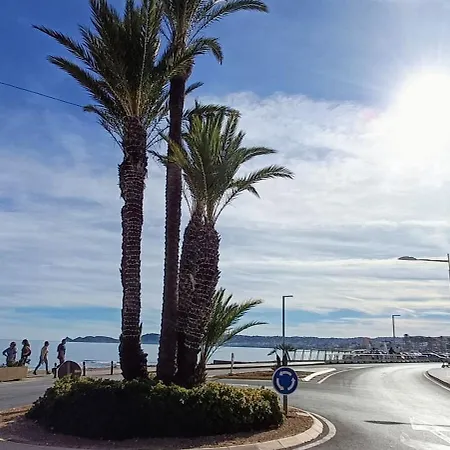 Daire Wind Rose Study Javea