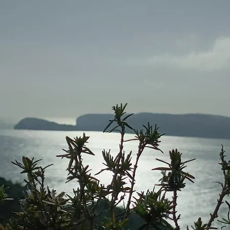 Wind Rose Study Jávea