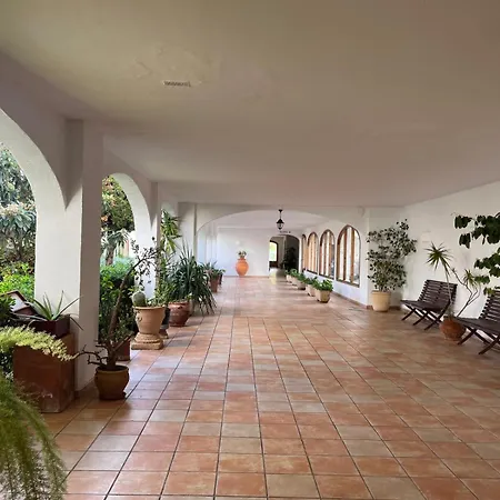 Wind Rose Study خافييا