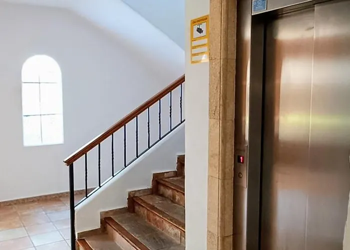 Wind Rose Study Lejlighed