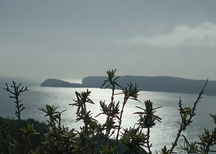 Wind Rose Study Jávea