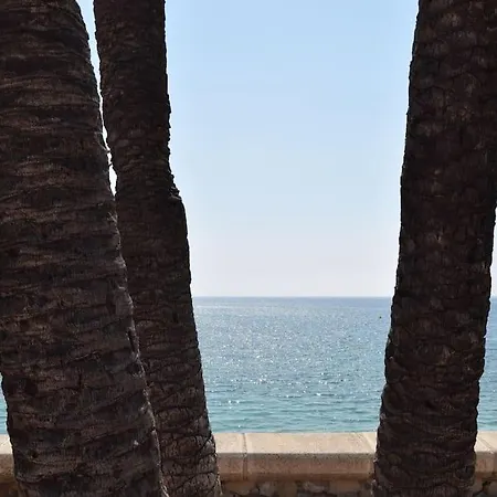 Wind Rose Study Xàbia *