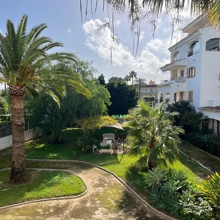 Wind Rose Study Xàbia Jávea